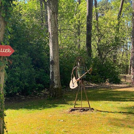 Vila Le Petit Poulailler Au Beau Milieu Des Pins Lacanau Exteriér fotografie