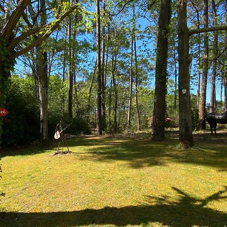 Vila Le Petit Poulailler Au Beau Milieu Des Pins Lacanau Exteriér fotografie