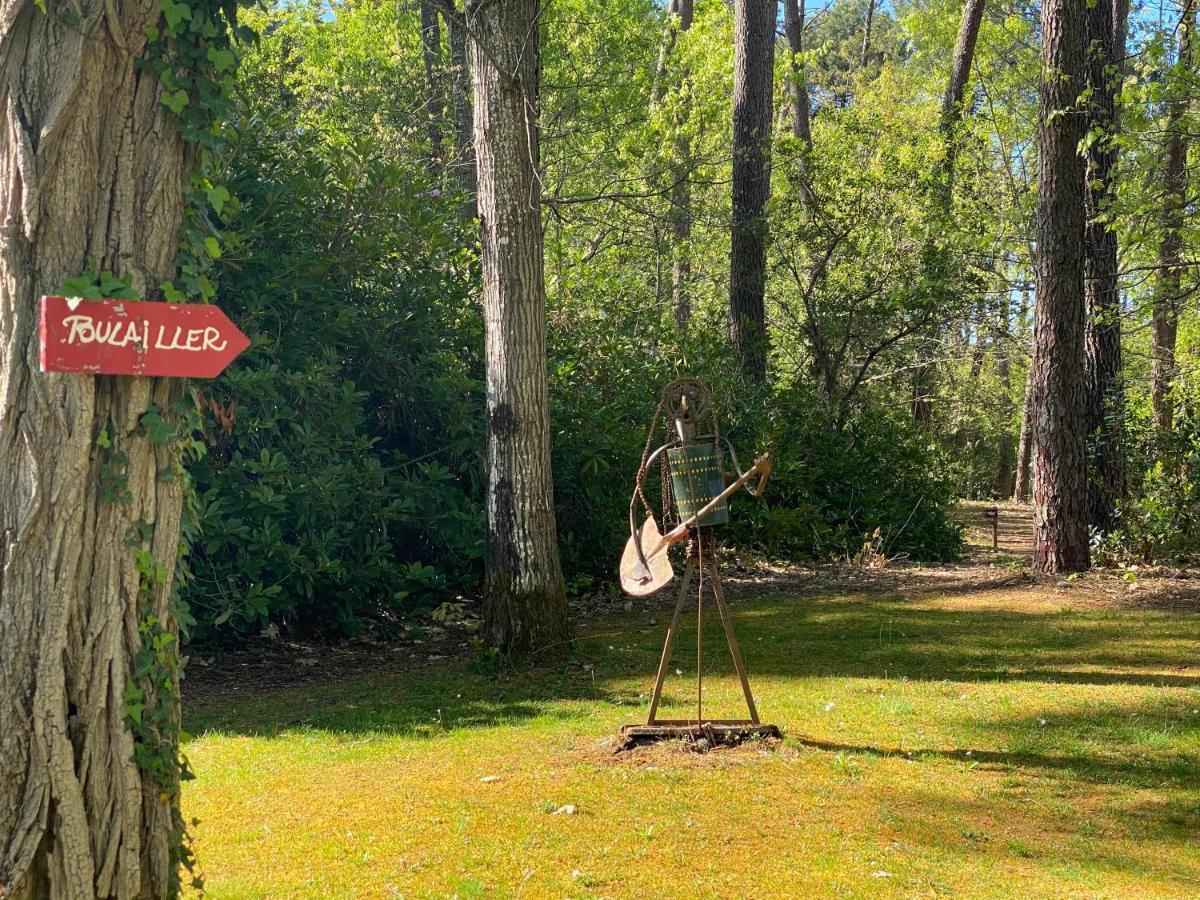 Vila Le Petit Poulailler Au Beau Milieu Des Pins Lacanau Exteriér fotografie