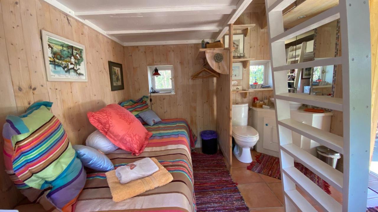 Vila Le Petit Poulailler Au Beau Milieu Des Pins Lacanau Exteriér fotografie