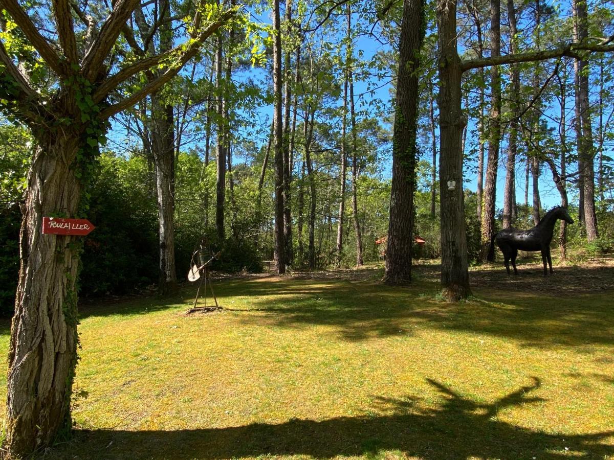 Vila Le Petit Poulailler Au Beau Milieu Des Pins Lacanau Exteriér fotografie