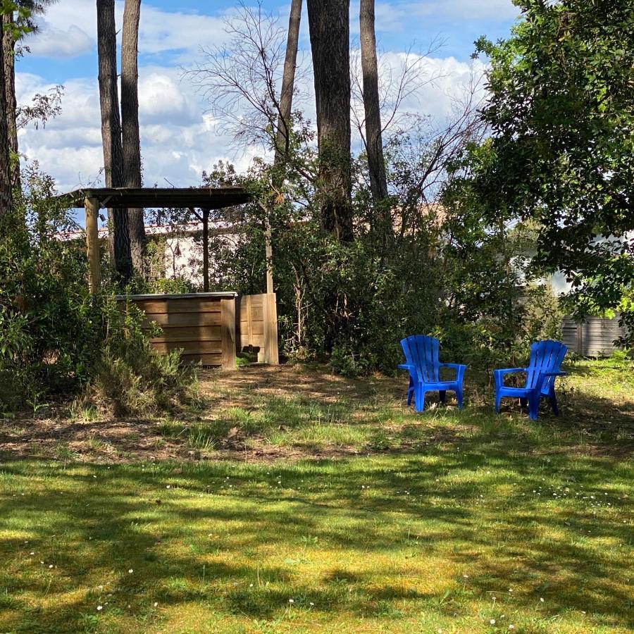 Vila Le Petit Poulailler Au Beau Milieu Des Pins Lacanau Exteriér fotografie