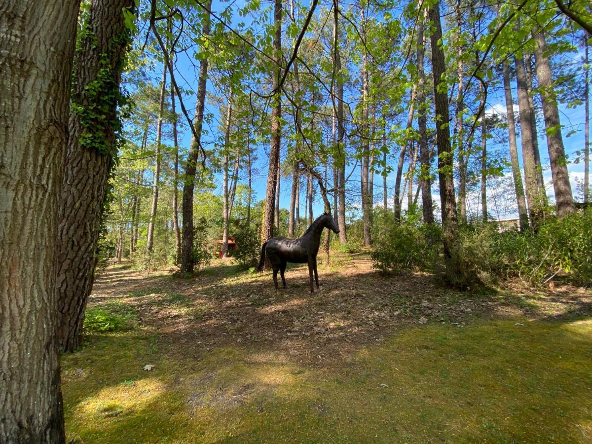 Vila Le Petit Poulailler Au Beau Milieu Des Pins Lacanau Exteriér fotografie