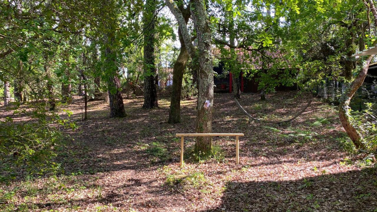 Vila Le Petit Poulailler Au Beau Milieu Des Pins Lacanau Exteriér fotografie
