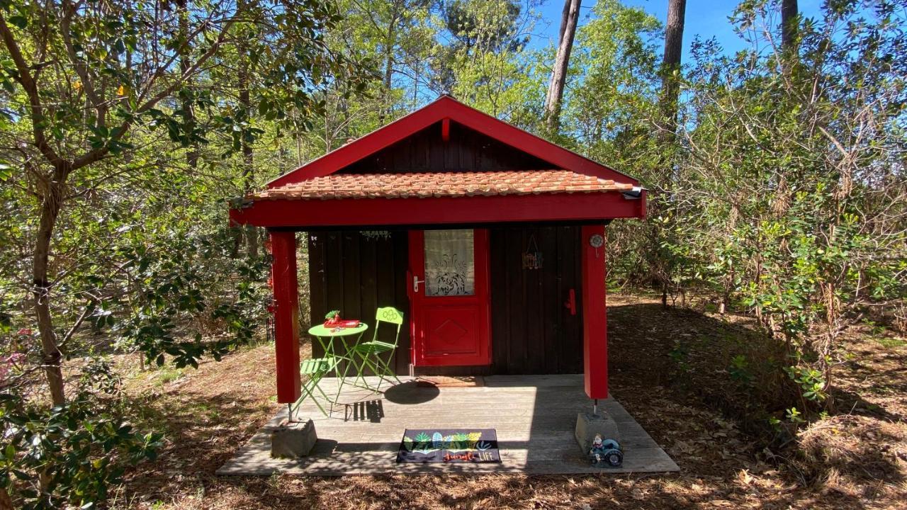 Vila Le Petit Poulailler Au Beau Milieu Des Pins Lacanau Exteriér fotografie