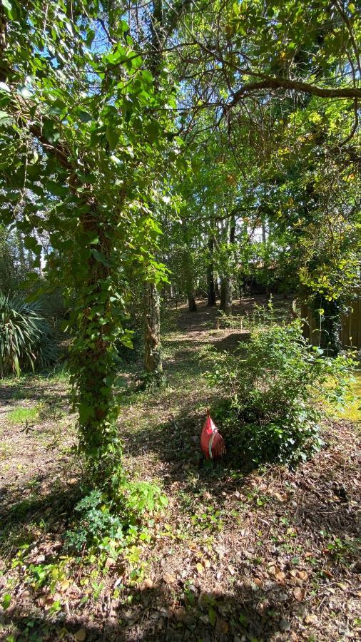 Vila Le Petit Poulailler Au Beau Milieu Des Pins Lacanau Exteriér fotografie