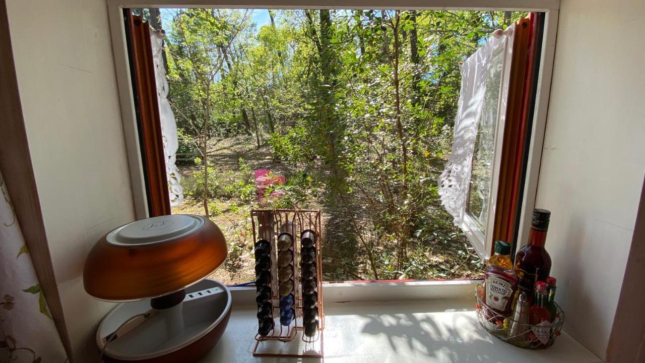 Vila Le Petit Poulailler Au Beau Milieu Des Pins Lacanau Exteriér fotografie