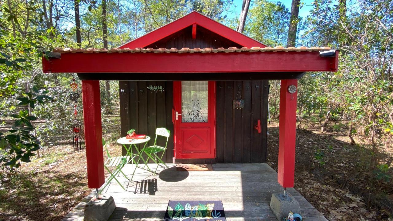 Vila Le Petit Poulailler Au Beau Milieu Des Pins Lacanau Exteriér fotografie