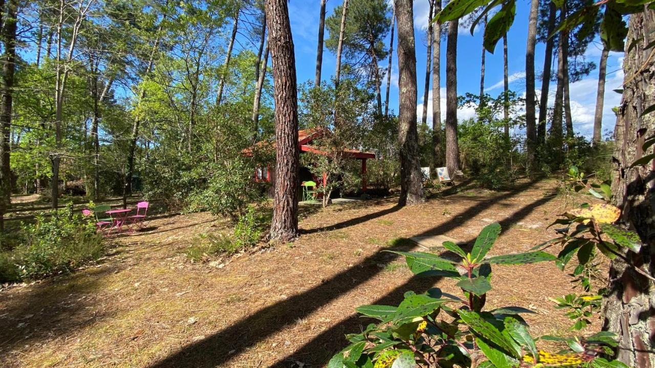 Vila Le Petit Poulailler Au Beau Milieu Des Pins Lacanau Exteriér fotografie