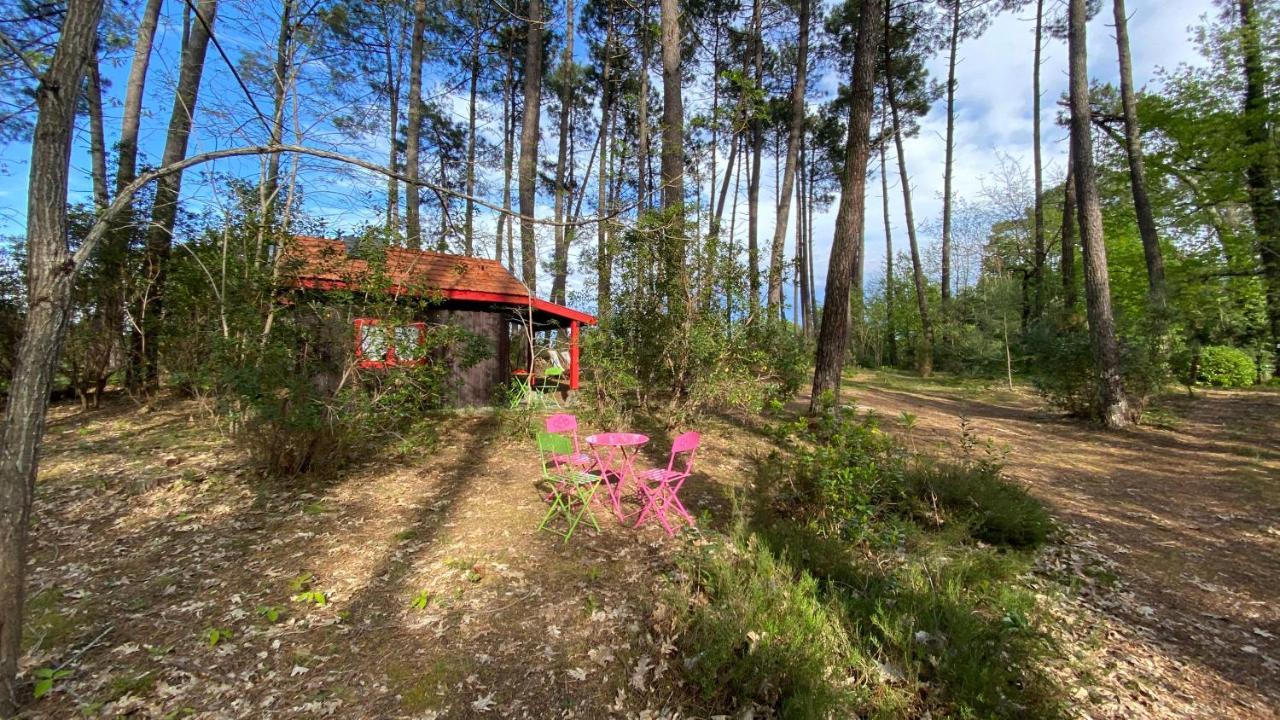 Vila Le Petit Poulailler Au Beau Milieu Des Pins Lacanau Exteriér fotografie