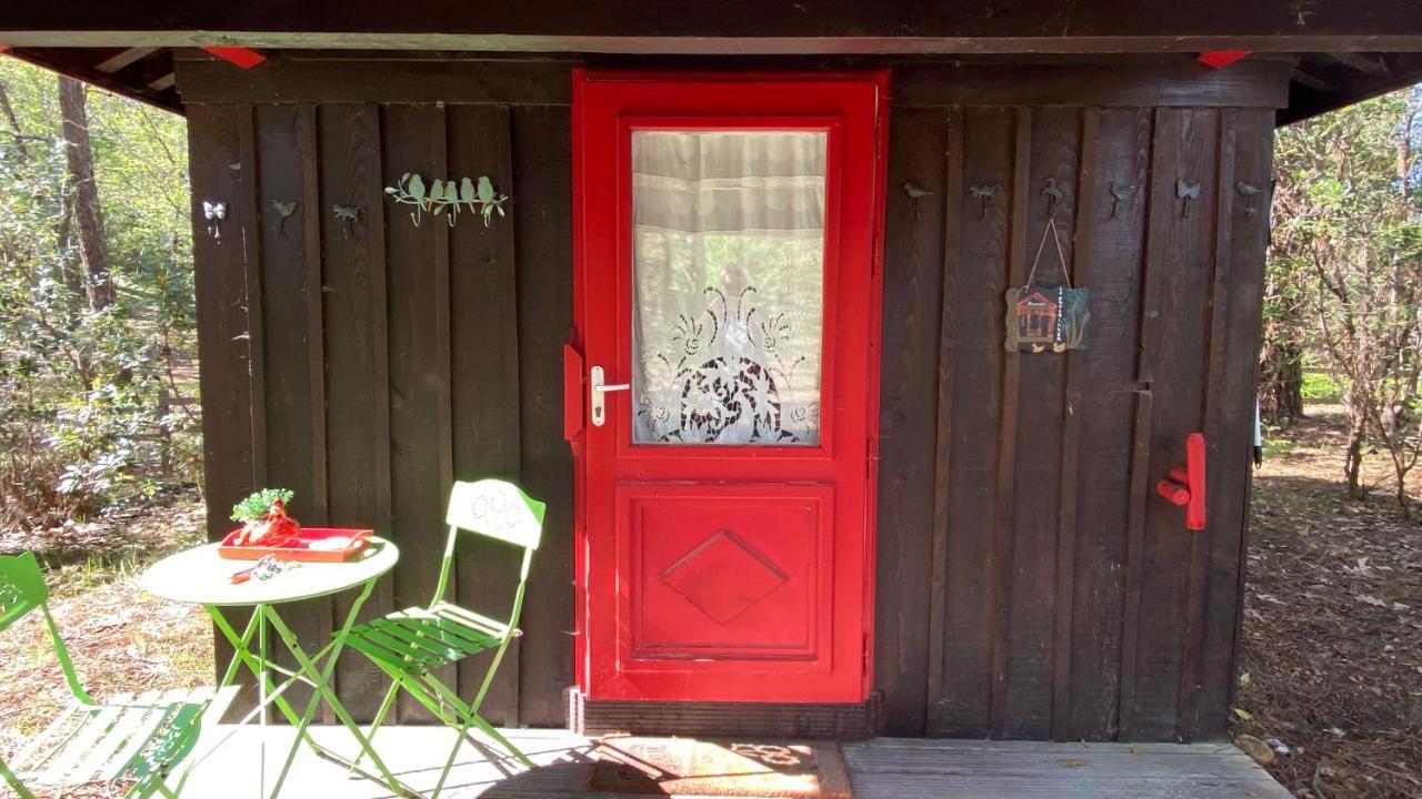 Vila Le Petit Poulailler Au Beau Milieu Des Pins Lacanau Exteriér fotografie