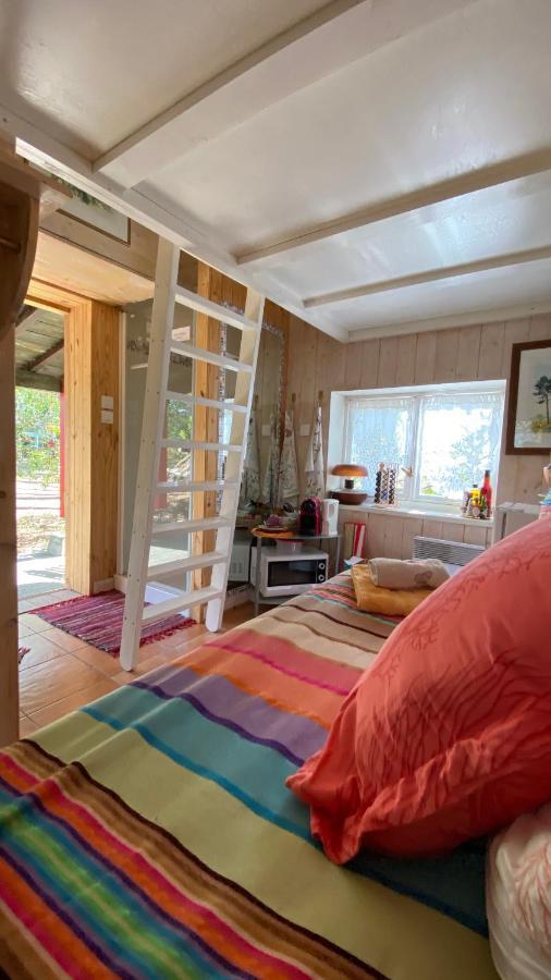 Vila Le Petit Poulailler Au Beau Milieu Des Pins Lacanau Exteriér fotografie