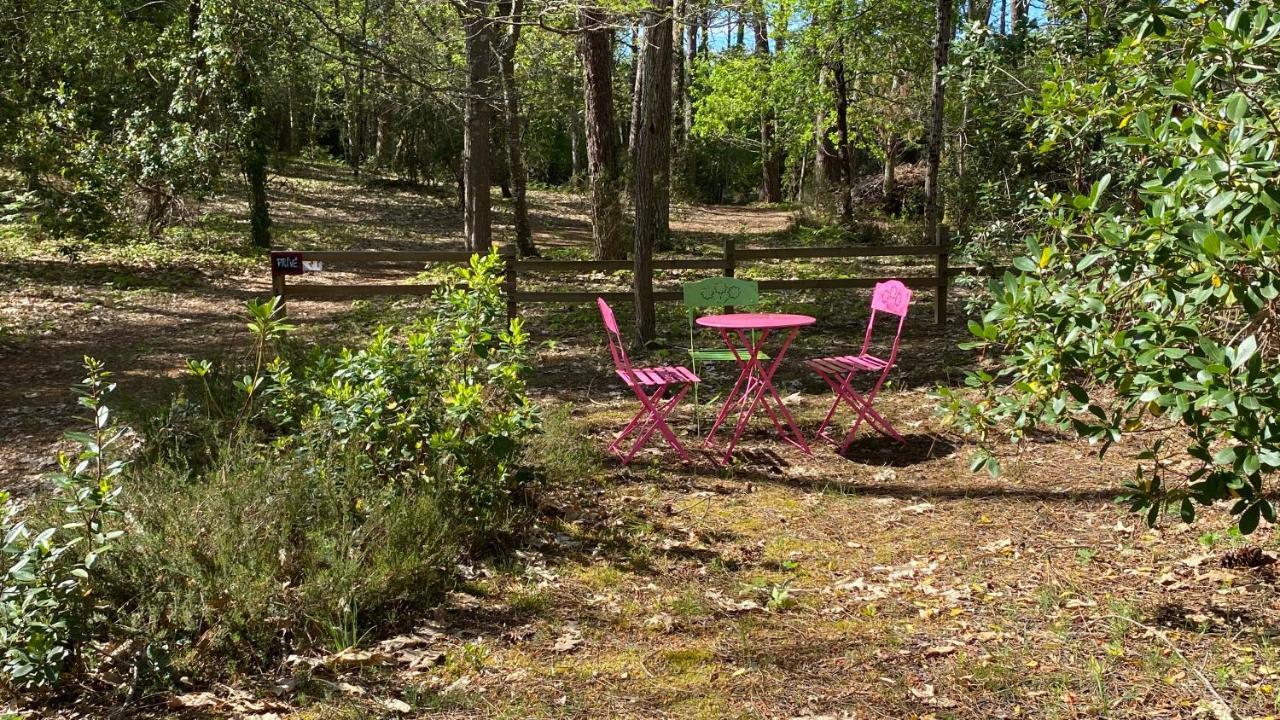 Vila Le Petit Poulailler Au Beau Milieu Des Pins Lacanau Exteriér fotografie